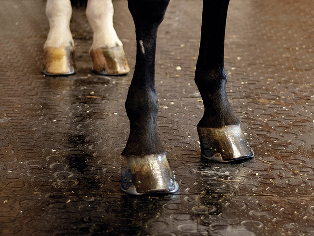 Kraiburg Belmondo® Boxenmatte Classic