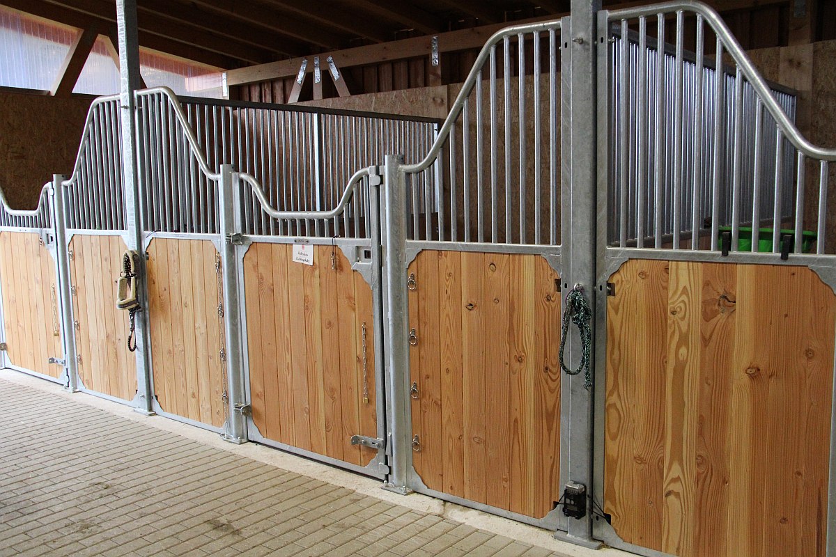 Frontwand Buchela geschwungen