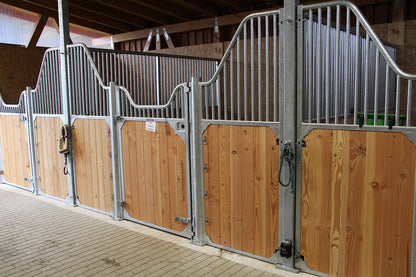 Frontwand Buchela geschwungen