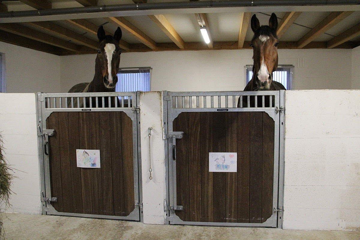 Frontwand Cintaro mit Aufsatzgitter