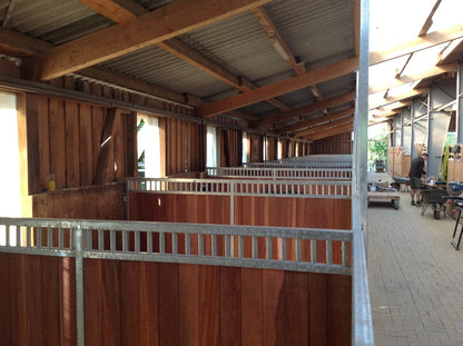 Frontwand Cintaro mit Aufsatzgitter