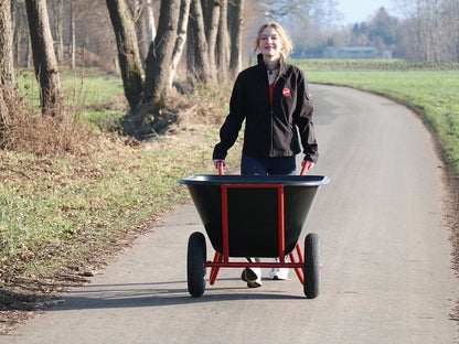 Schubkarre 250 Liter Action