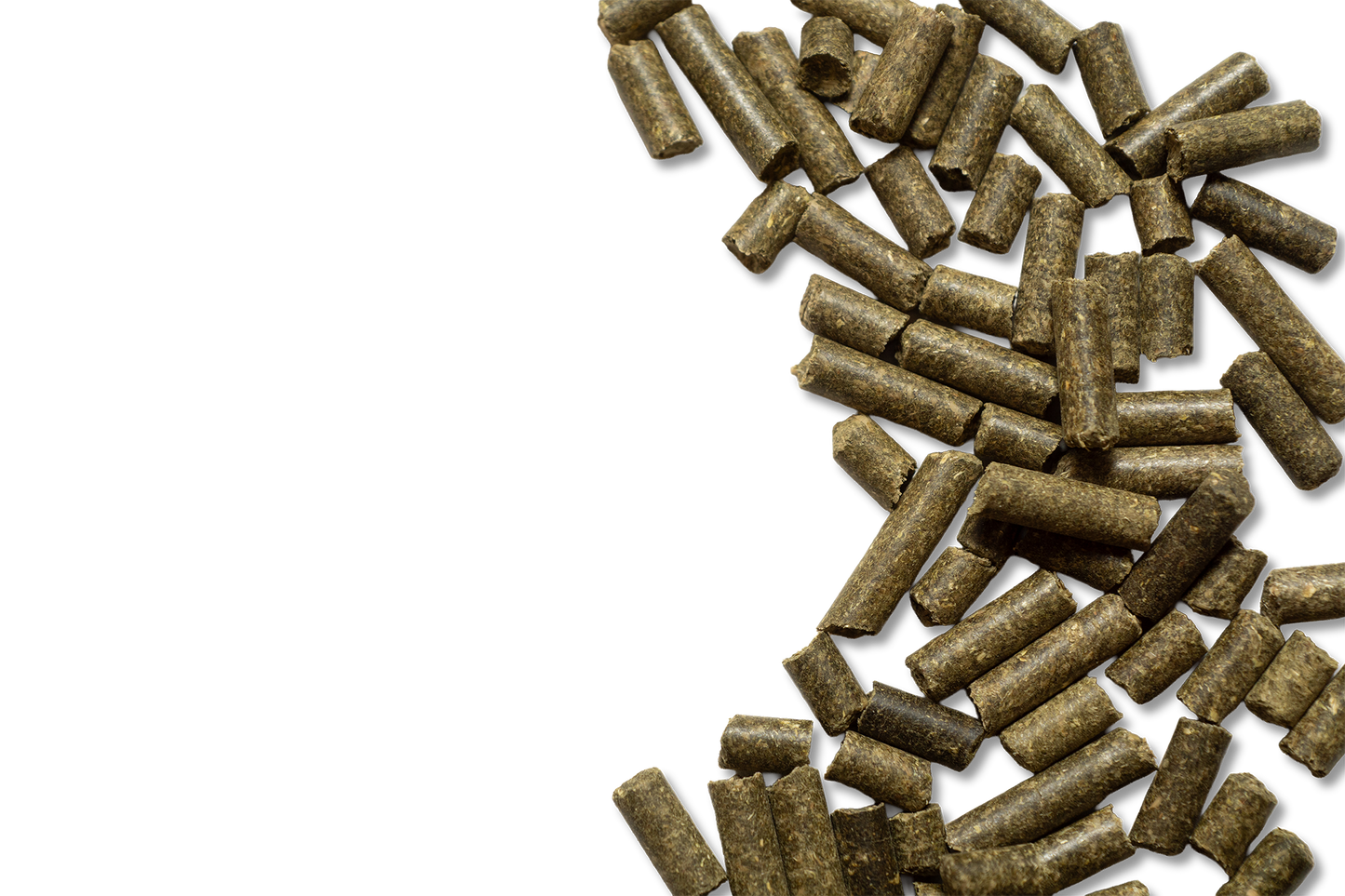 Hartog Daily 15 kg