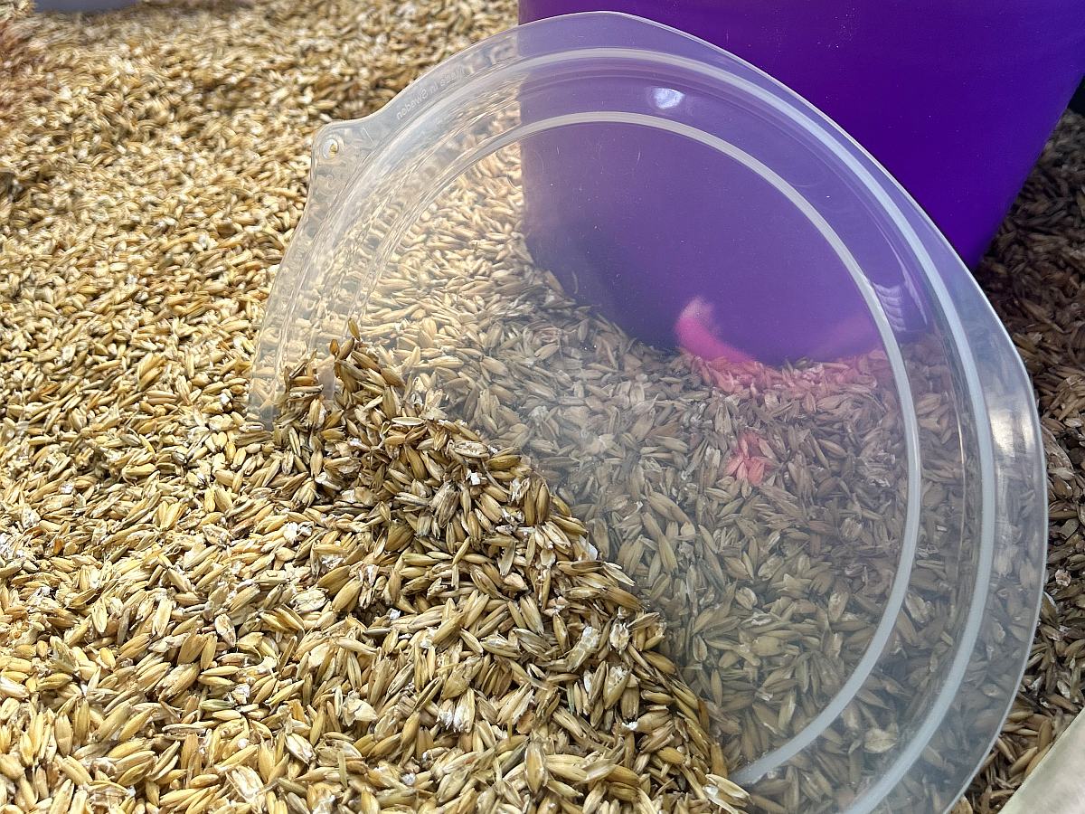 Deckel für Futtereimer 7 Liter,  transparent