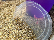 Deckel für Futtereimer 7 Liter,  transparent