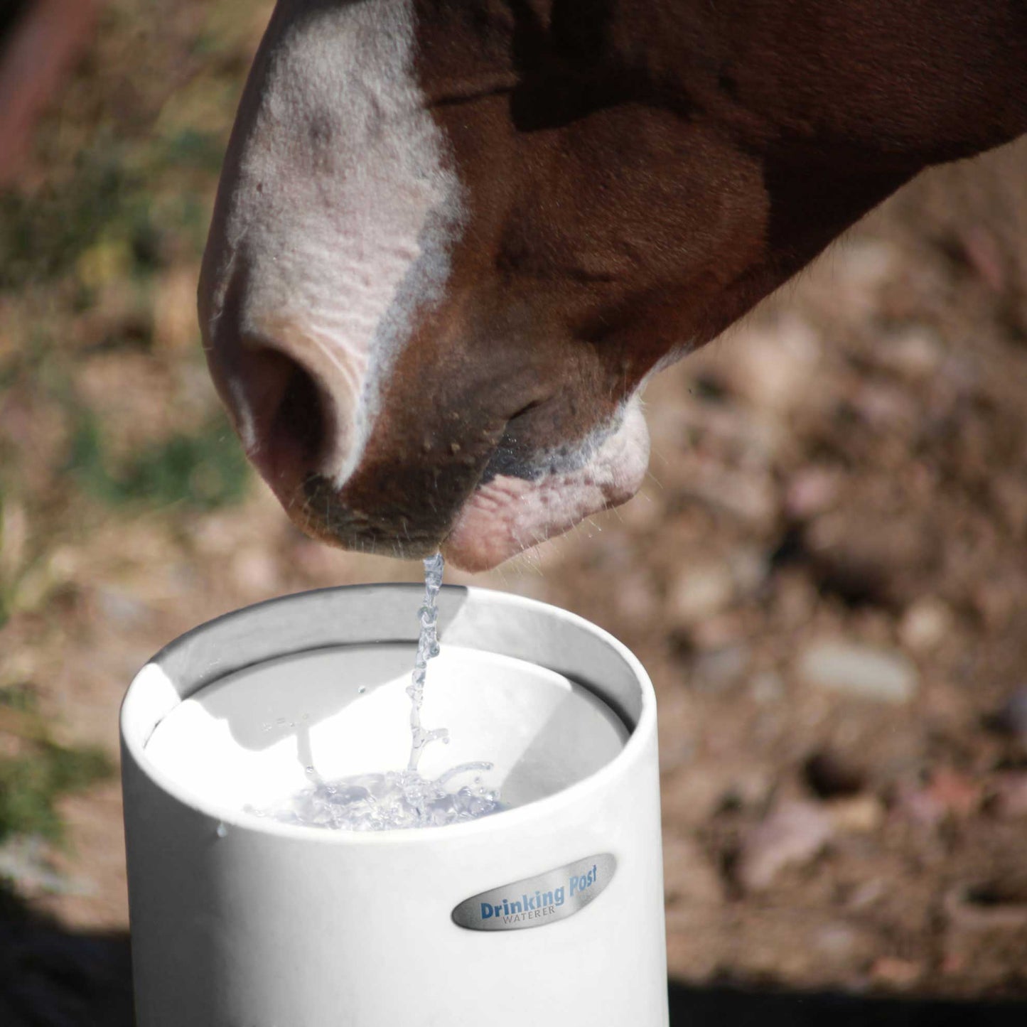 Standtränke Drinking Post