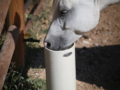 Standtränke "Drinking Post"