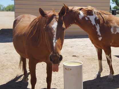 Standtränke "Drinking Post"