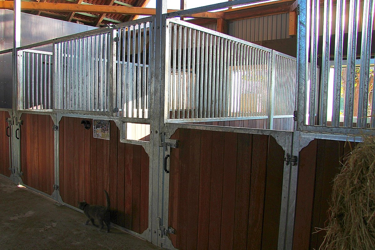 Frontwand Evando mit zweiteiliger Drehtür