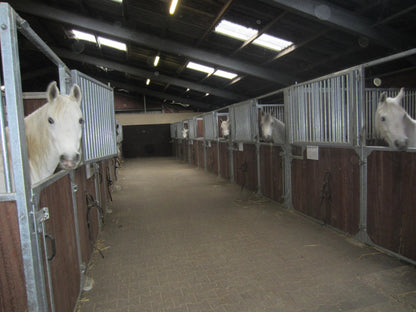 Frontwand Evando mit einteiliger Drehtür