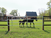 FN-Weidetor verstellbar