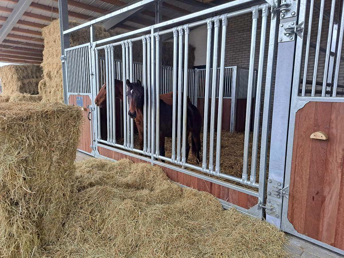 Frontwand Gloria mit Fressgitter