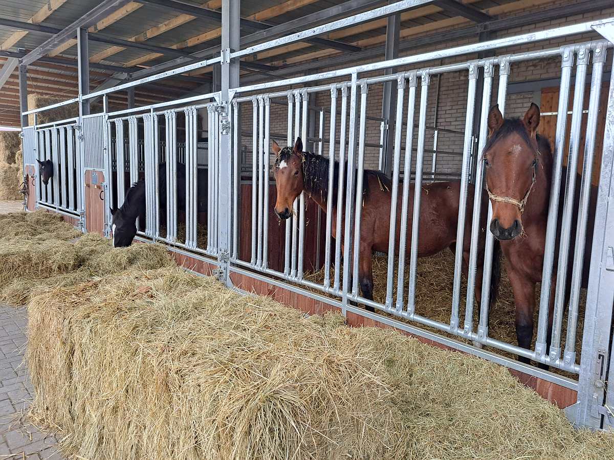 Frontwand Gloria mit Fressgitter