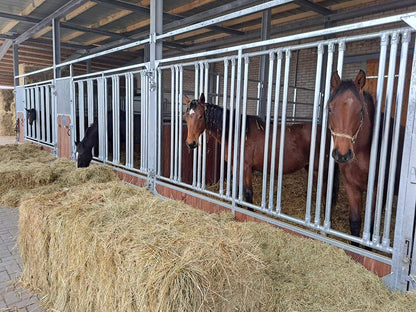 Frontwand Gloria mit Fressgitter