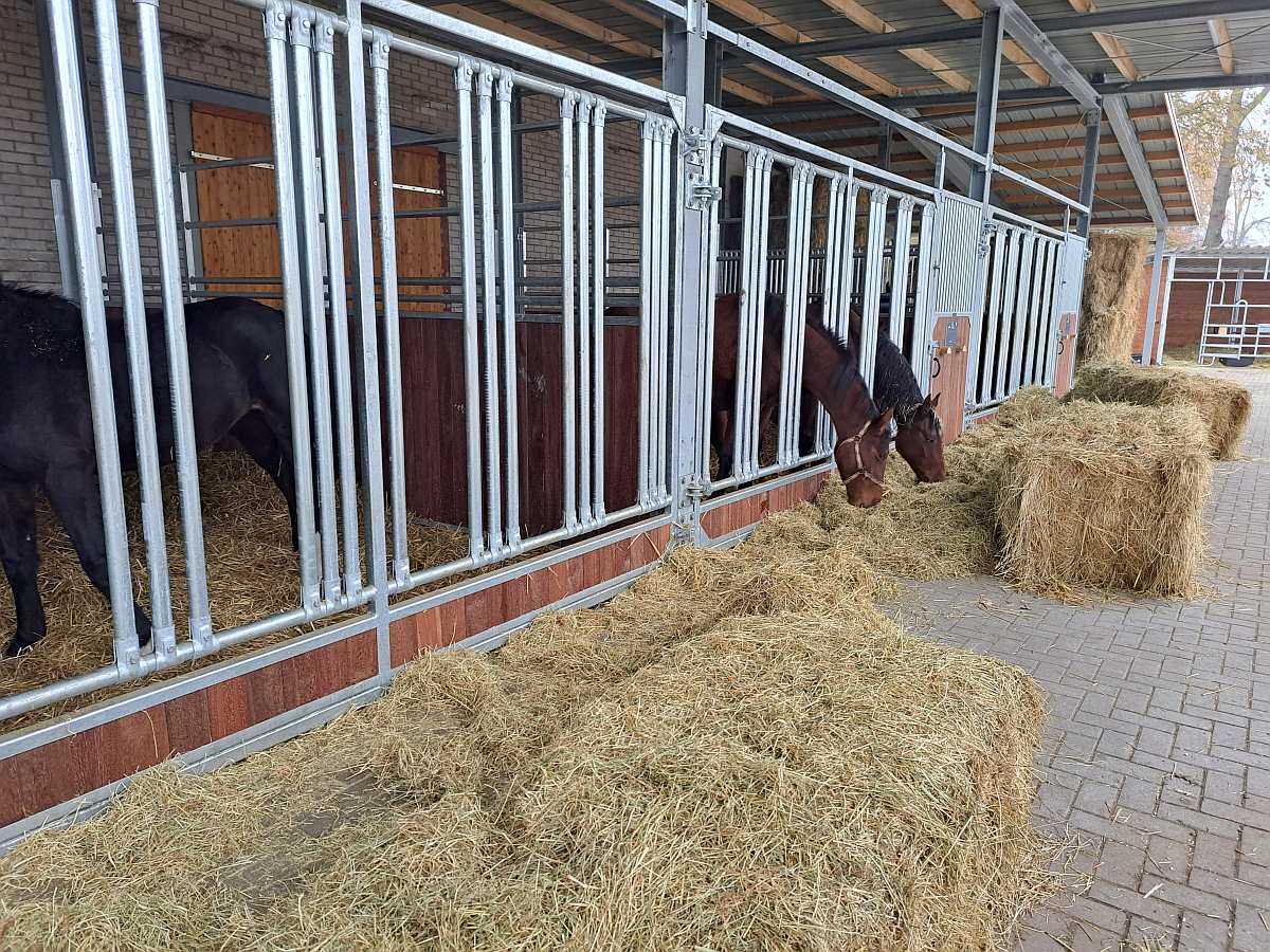 Frontwand Gloria mit Fressgitter