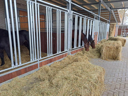 Frontwand Gloria mit Fressgitter