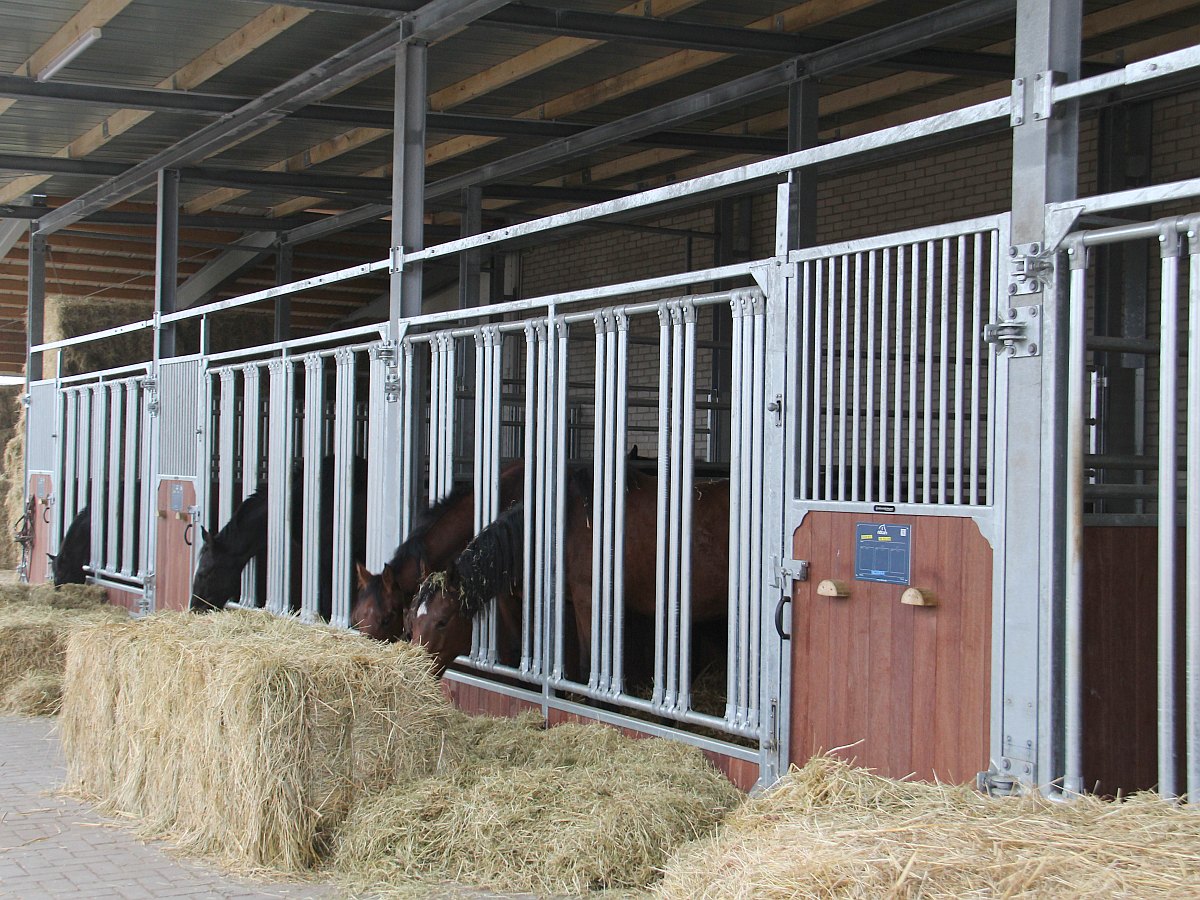 Frontwand Gloria mit Fressgitter