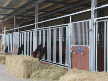 Frontwand Gloria mit Fressgitter