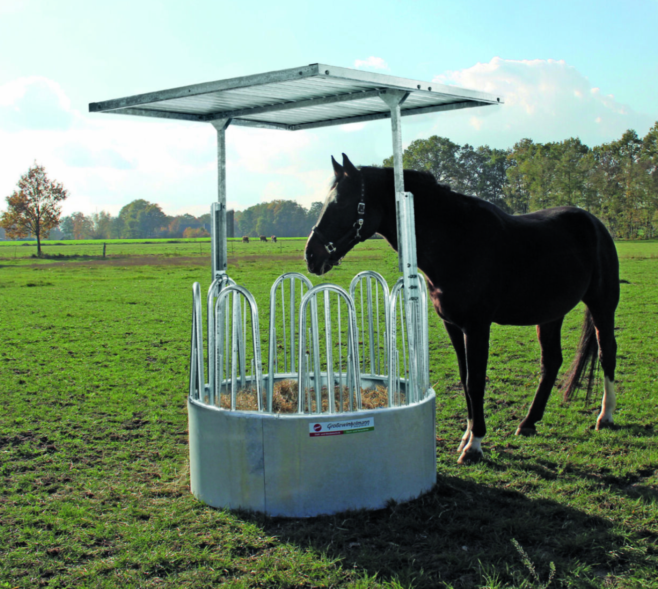 Rundraufe Comfort-Line Mini