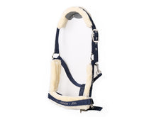 Halfterhalter basaltgrau