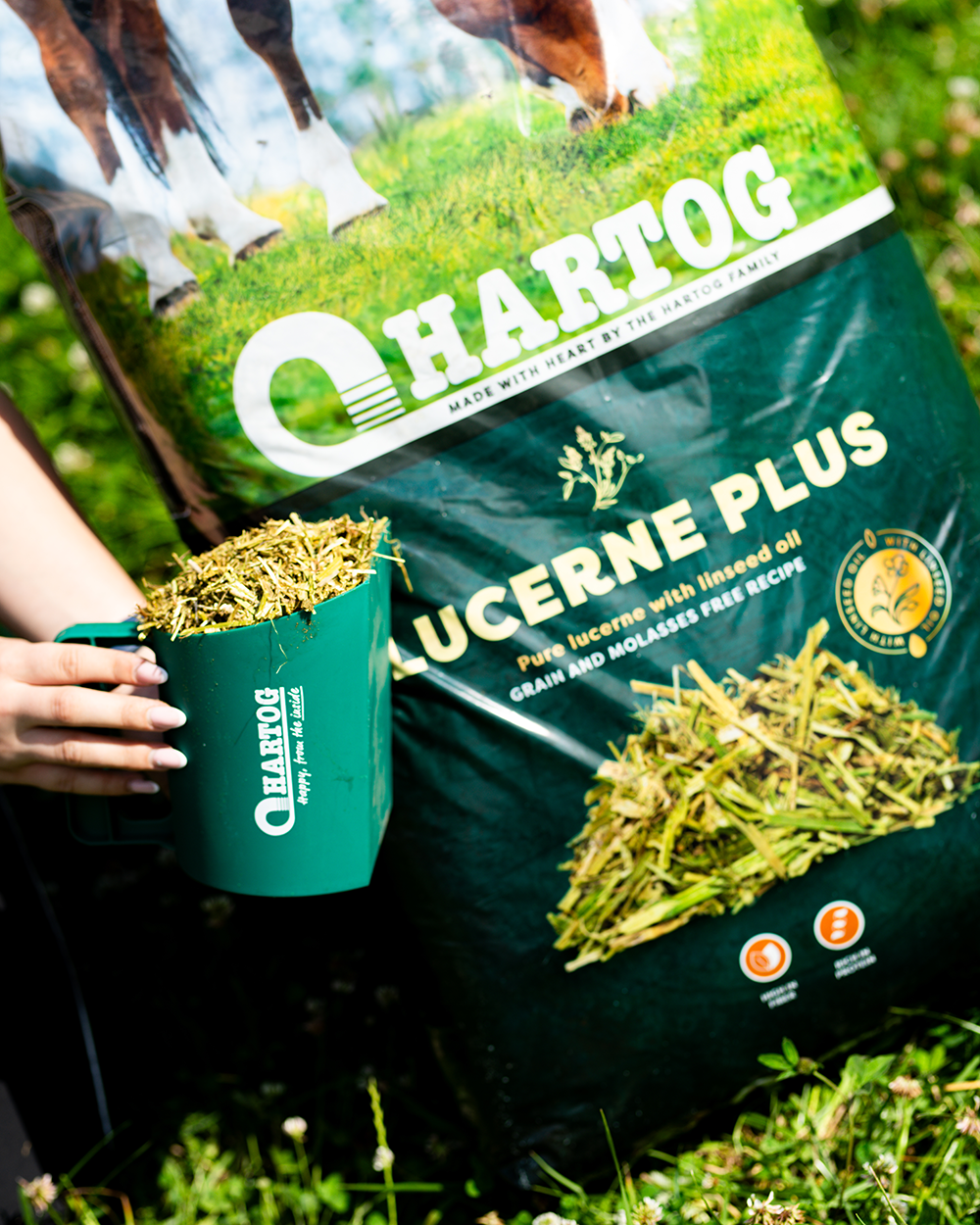 Hartog Luzerne Plus 15 kg