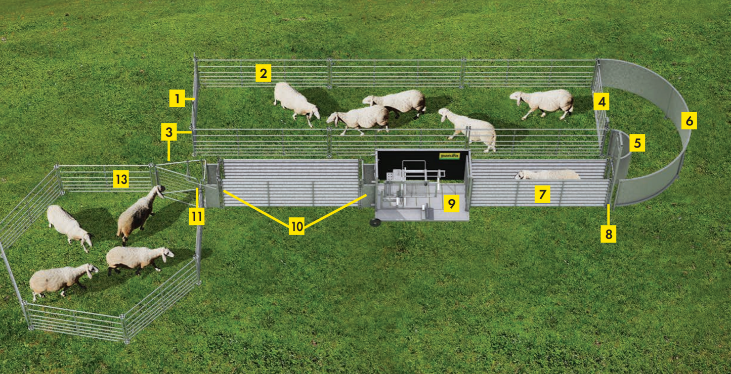 Behandlungsstand zum Fangen, Behandeln und  Sortieren von Schafen - Komplettset