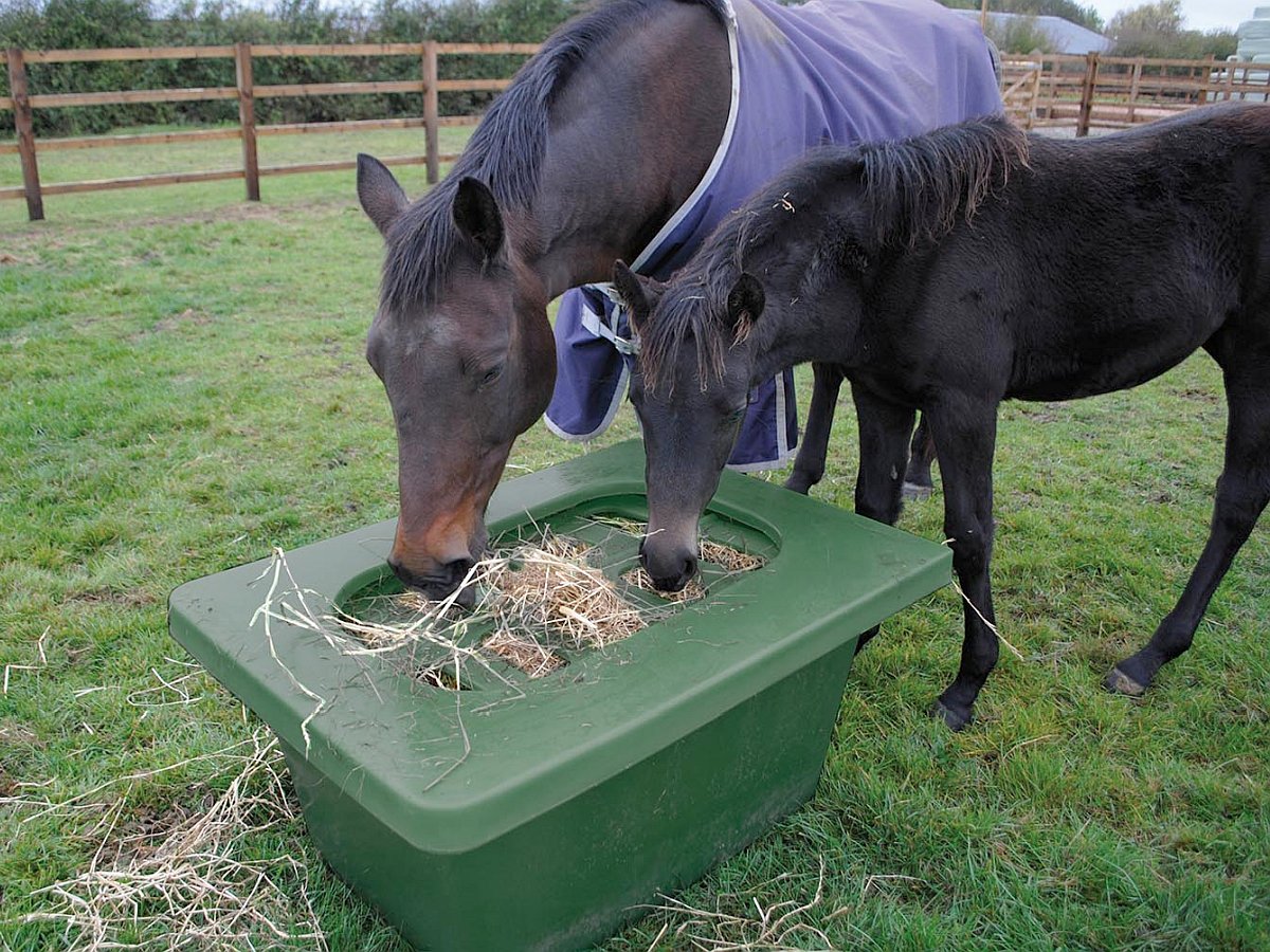 Koppel- u. Paddocktrog aus Kunststoff