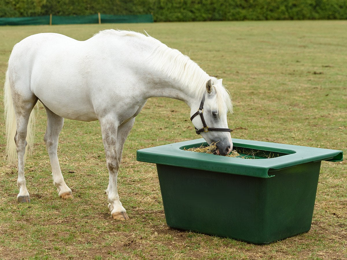 Koppel- u. Paddocktrog aus Kunststoff