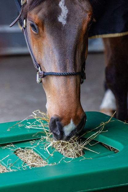 Koppel- u. Paddocktrog aus Kunststoff