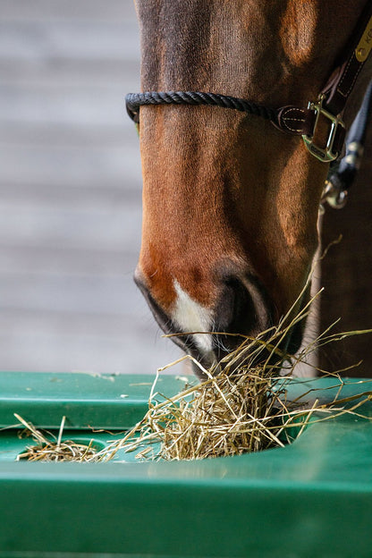 Koppel- u. Paddocktrog aus Kunststoff