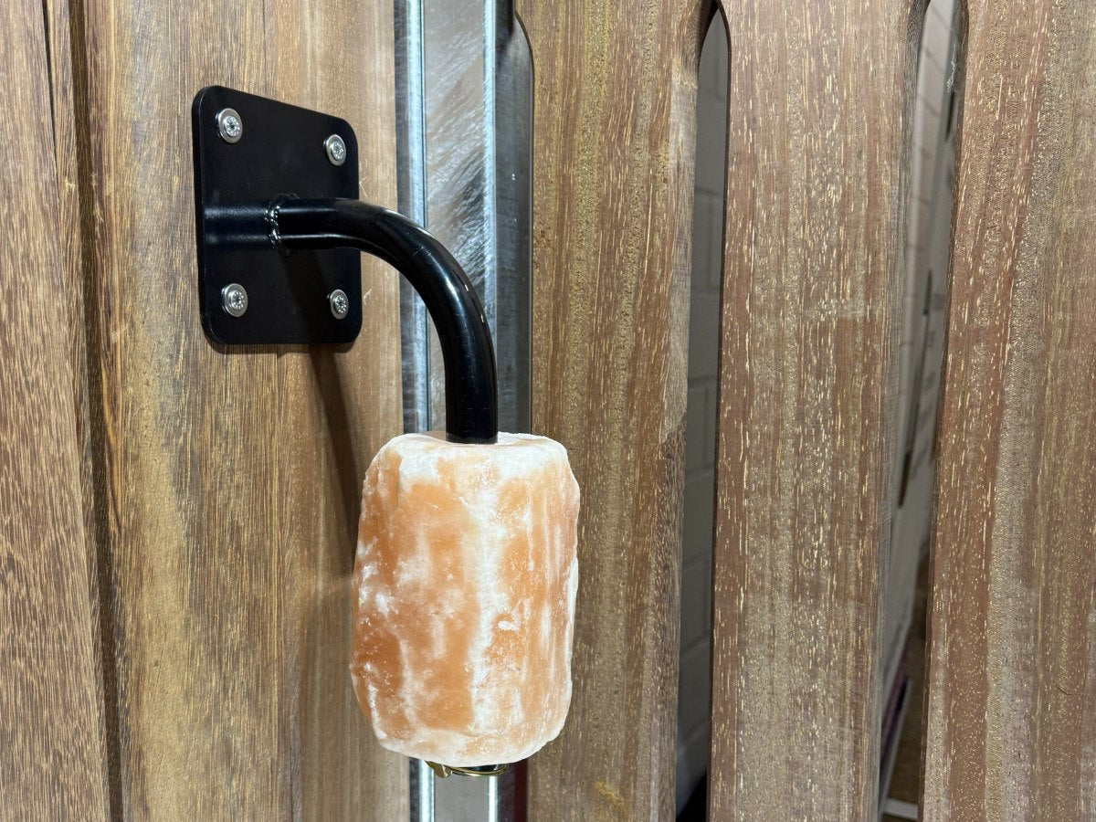 Lecksteinhalter-Stab