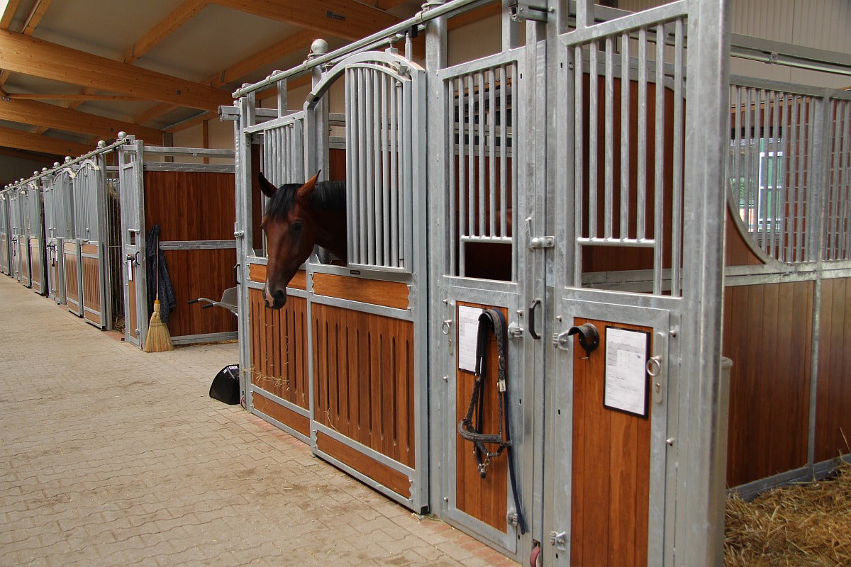 Frontwand Nando Exklusiv