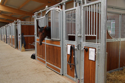 Frontwand Nando Exklusiv