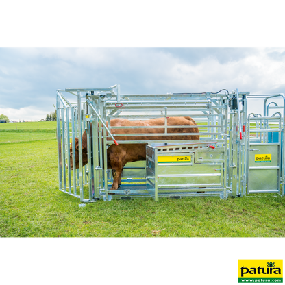 Behandlungsstand A8000