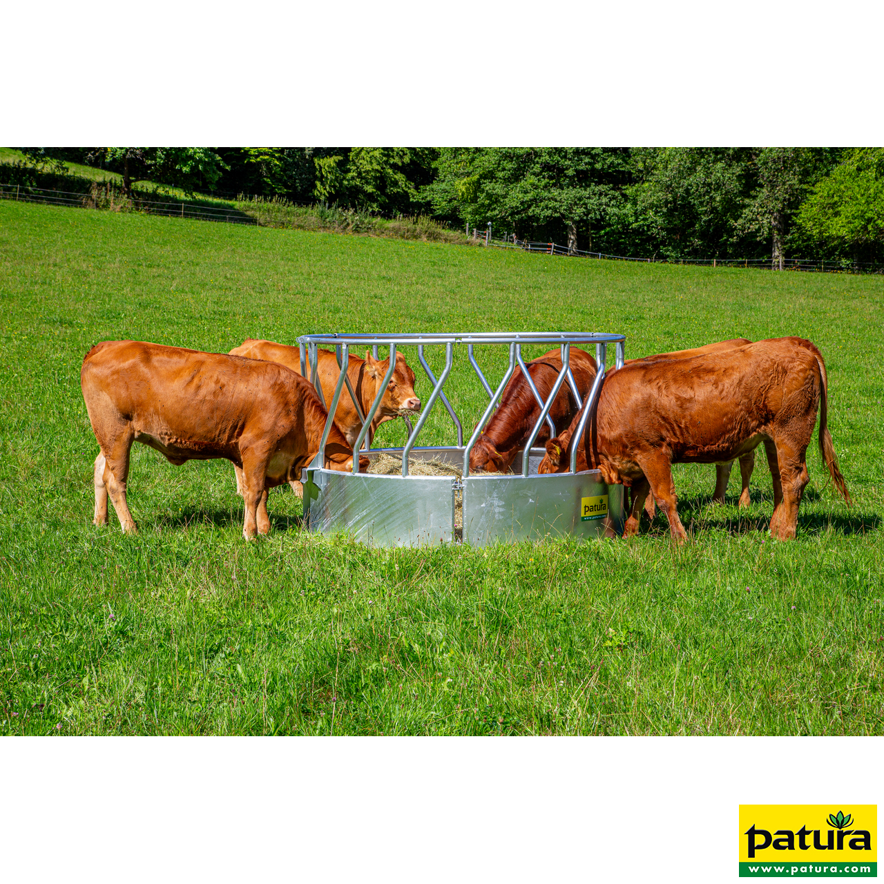 Rundraufe mit Schrägfressgittern 18 Fressplätze