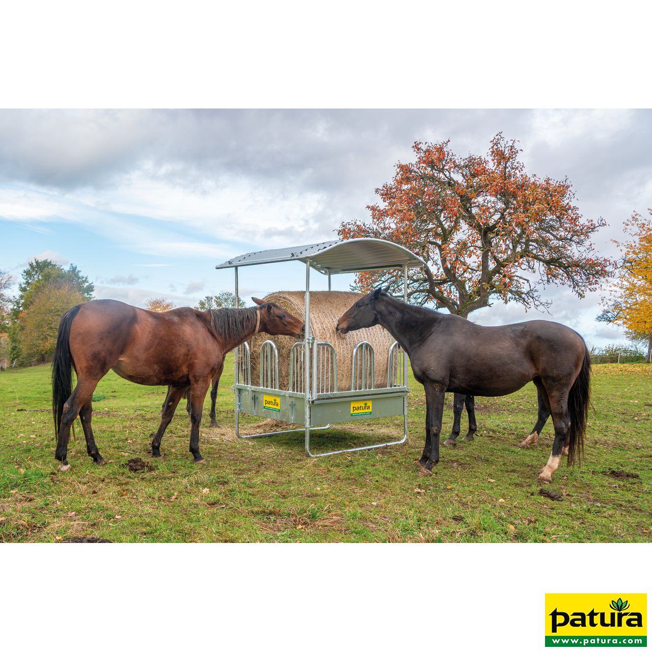 Viereckraufe mit Sicherheits-Palisadenfressgittern