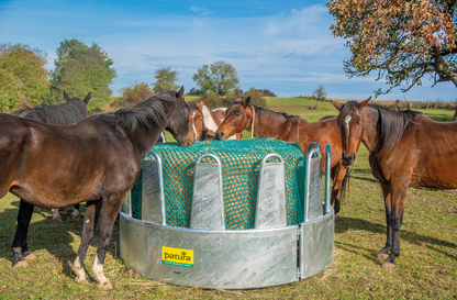 Rundraufe für Pferde 12 Fressplätze