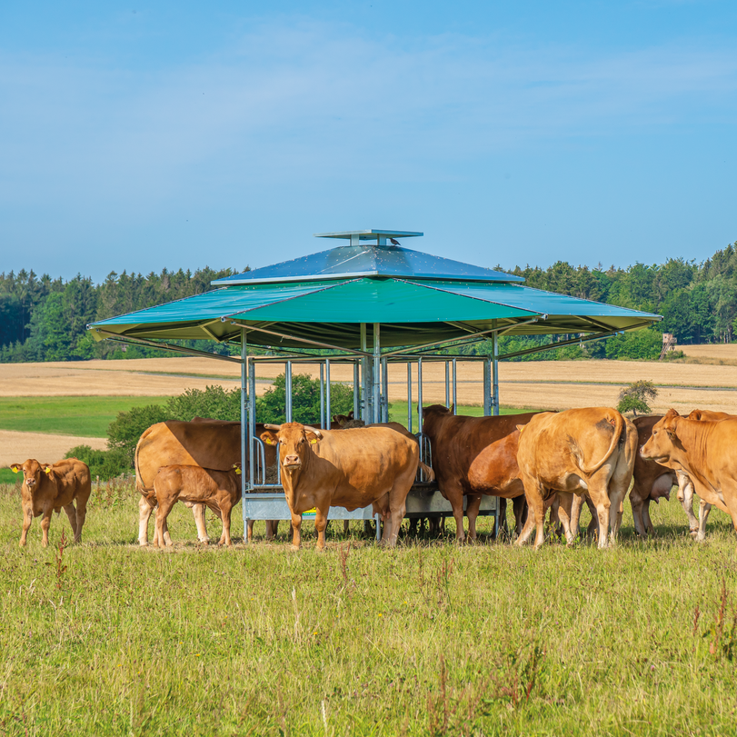 Klima-Großballenraufe mit Universalfressgittern