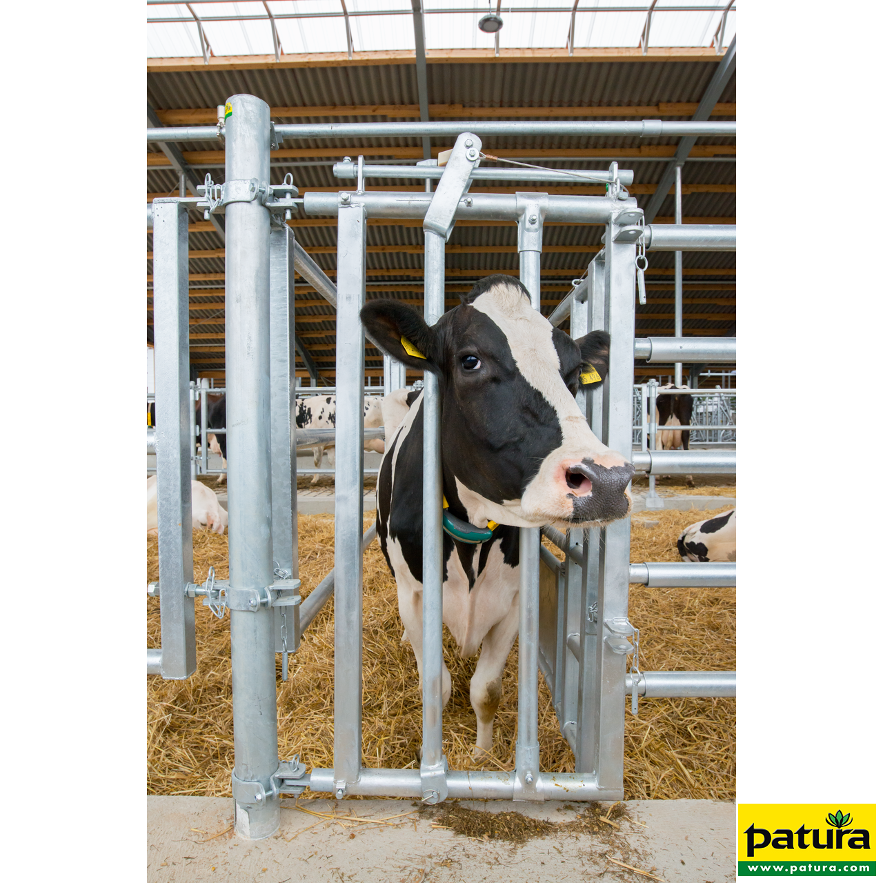 Fressgitter für Tierbehandlung