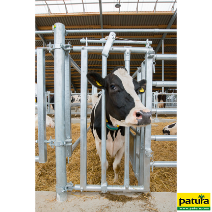 Fressgitter für Tierbehandlung