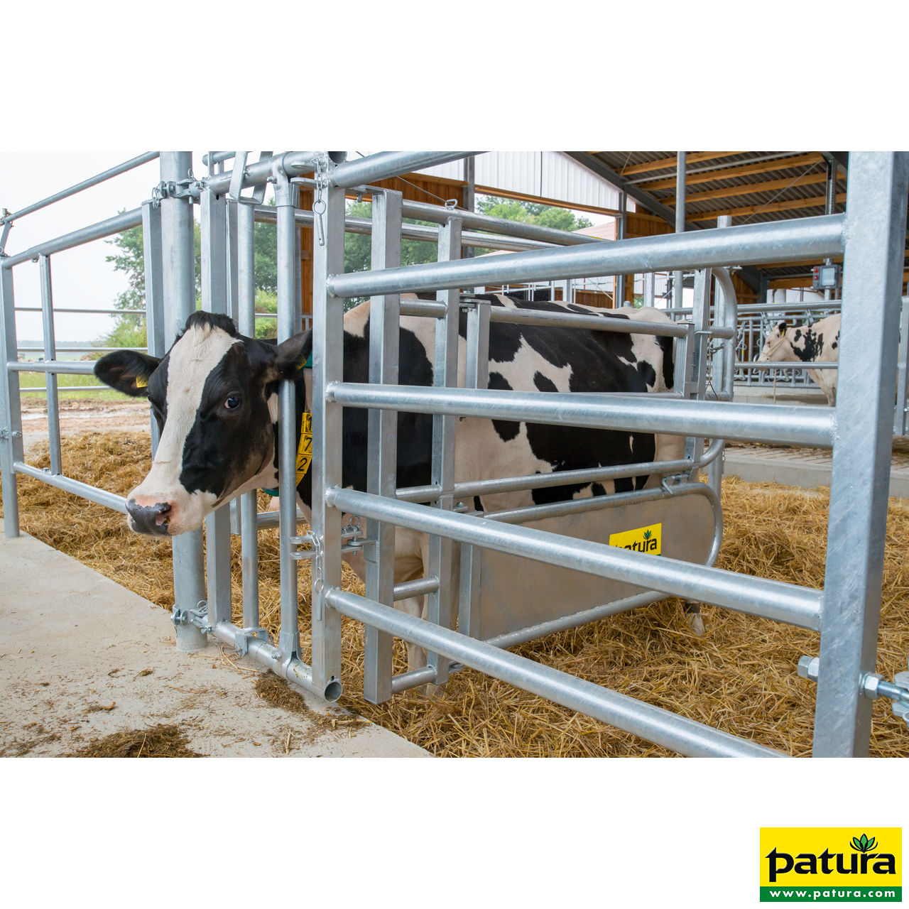 Fressgitter für Tierbehandlung