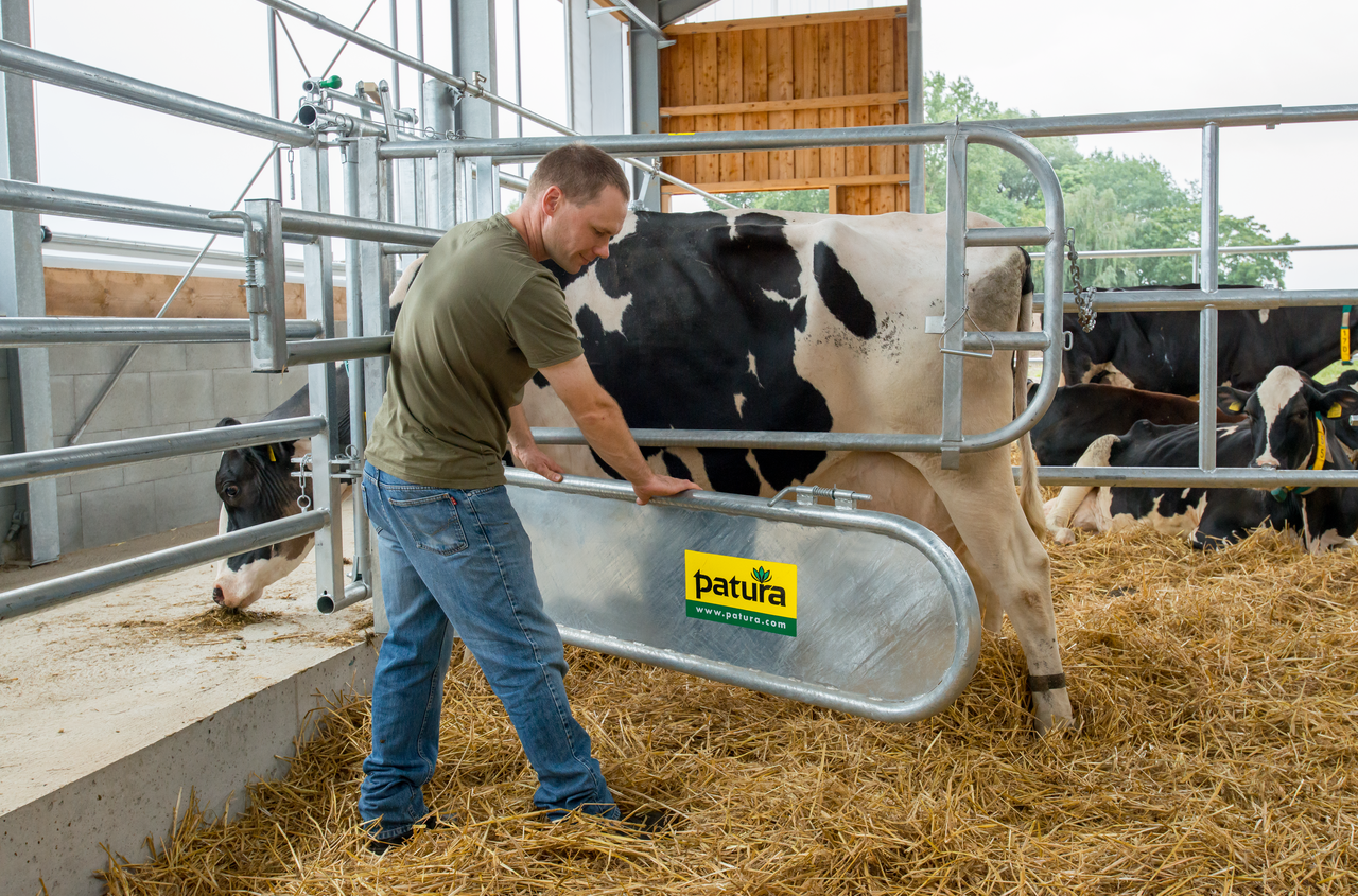 Abtrennung für Tierbehandlung