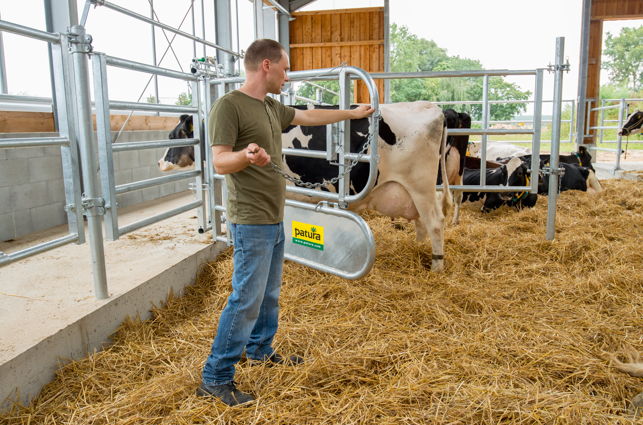 Abtrennung für Tierbehandlung