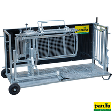 Behandlungsstand für Schafe