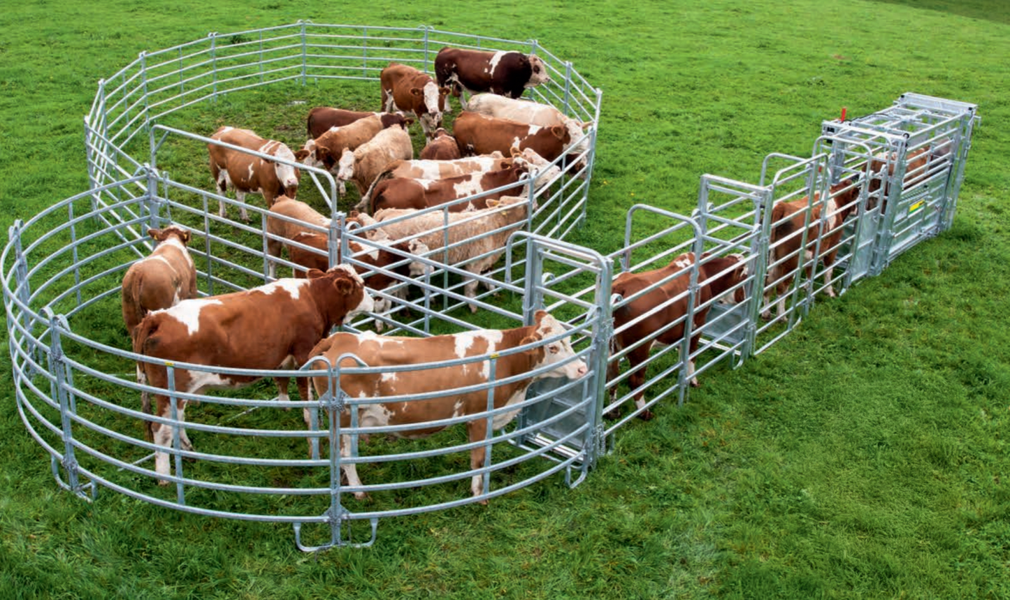 Professionelle Behandlungsanlage für mittlere bis große Tierbestände - Komplettset