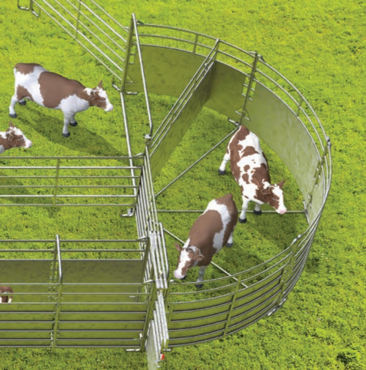 Professionelle Behandlungsanlage für mittlere bis große Tierbestände - Komplettset