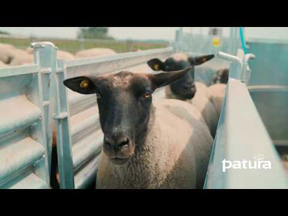 3-Wege-Wiege- und Sortierbox