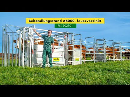 Behandlungsstand A6000