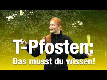 T-Pfosten ECO | Metallpfahl | 1,67 m