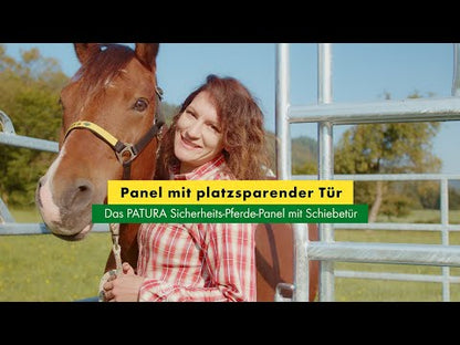 Sicherheits-Pferde-Panel mit Schiebetor - Höhe 2,50 m